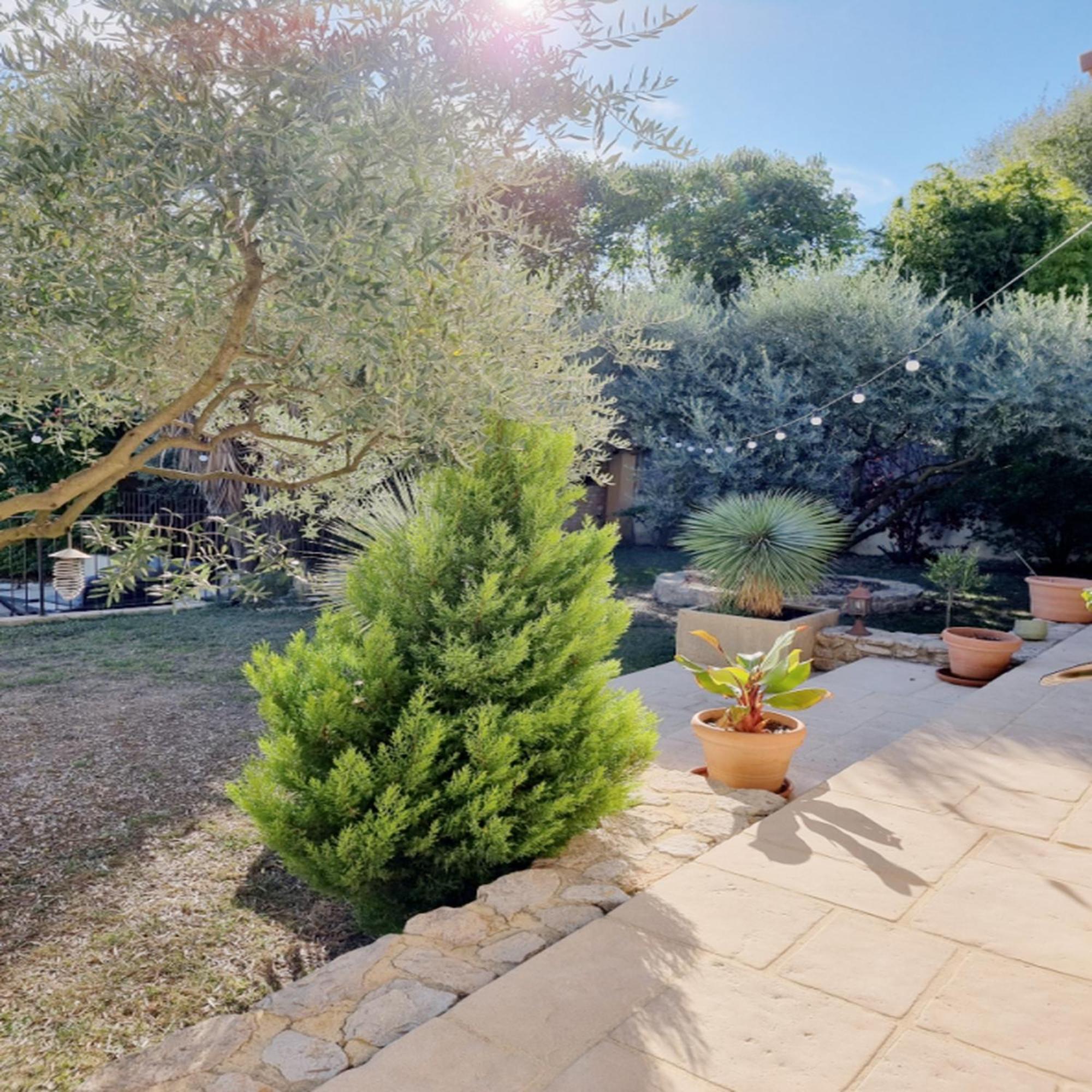 Villa Oasis En Provence Luberon Pierrevert Eksteriør billede
